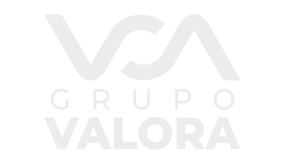 Grupo Valora